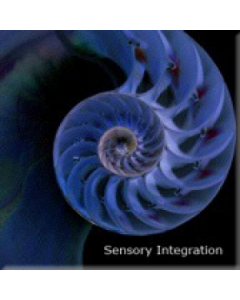 Sensory Integration Mp3 Download : Pure Frequency Medicine